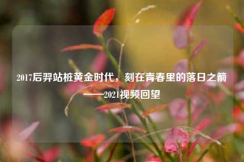2017后羿站桩黄金时代，刻在青春里的落日之箭——2021视频回望