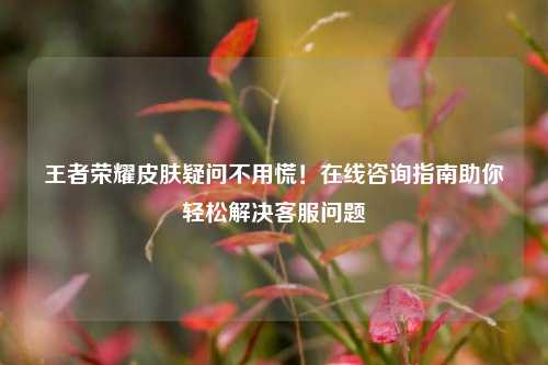 王者荣耀皮肤疑问不用慌！在线咨询指南助你轻松解决 *** 问题