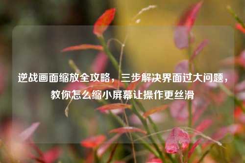逆战画面缩放全攻略，三步解决界面过大问题，教你怎么缩小屏幕让操作更丝滑