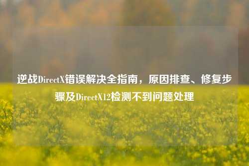逆战DirectX错误解决全指南，原因排查、修复步骤及DirectX12检测不到问题处理
