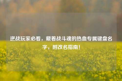 逆战玩家必看，藏着战斗魂的热血专属键盘名字，附改名指南！