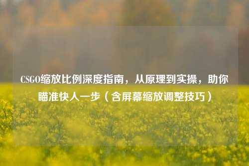 CSGO缩放比例深度指南，从原理到实操，助你瞄准快人一步（含屏幕缩放调整技巧）