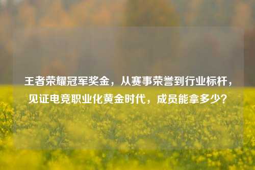 王者荣耀冠军奖金,从赛事荣誉到行业标杆,见证电竞职业化黄金时代,成员能拿多少?