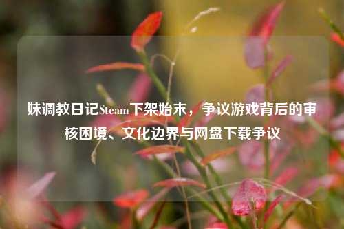 妹***日记Steam下架始末，争议游戏背后的审核困境、文化边界与网盘下载争议