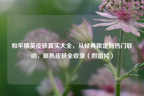 和平精英皮肤真实大全，从经典限定到热门联动，眼熟皮肤全收录（附图片）