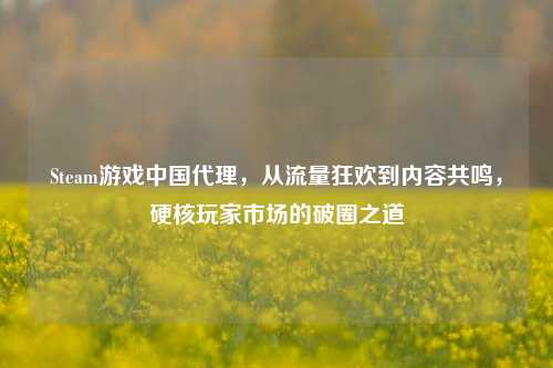 Steam游戏中国 *** ,从流量狂欢到内容共鸣,硬核玩家市场的破圈之道