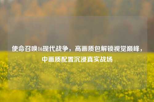 使命召唤16现代战争，高画质包解锁视觉巅峰，中画质配置沉浸真实战场