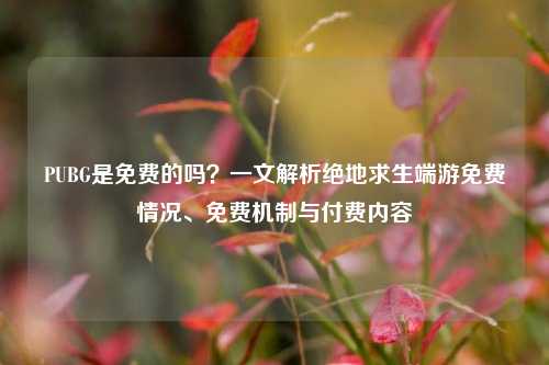 PUBG是免费的吗？一文解析绝地求生端游免费情况、免费机制与付费内容