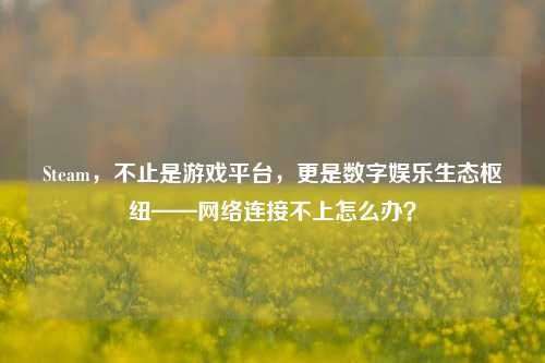 Steam,不止是游戏平台,更是数字娱乐生态枢纽—— *** 连接不上怎么办?