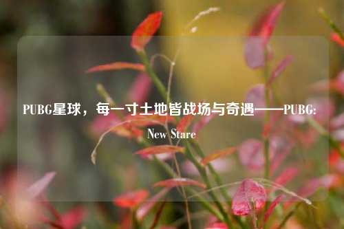 PUBG星球，每一寸土地皆战场与奇遇——PUBG: New Stare