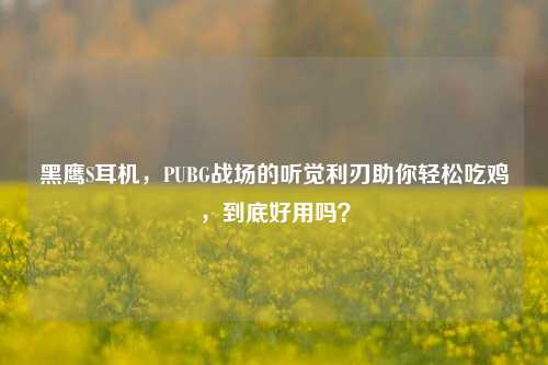 黑鹰S耳机,PUBG战场的听觉利刃助你轻松吃鸡,到底好用吗?