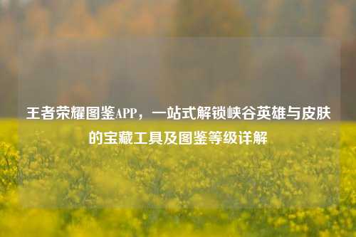 王者荣耀图鉴APP,一站式解锁峡谷英雄与皮肤的宝藏工具及图鉴等级详解