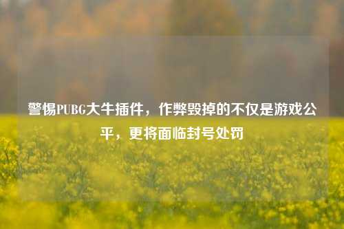 警惕PUBG大牛插件,作弊毁掉的不仅是游戏公平,更将面临封号处罚