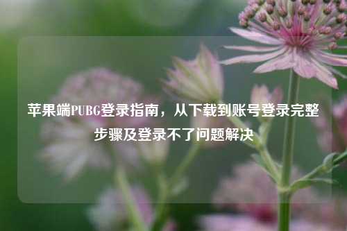 苹果端PUBG登录指南，从下载到账号登录完整步骤及登录不了问题解决