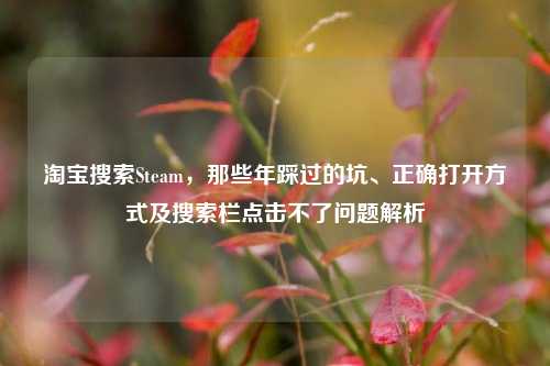  *** 搜索Steam，那些年踩过的坑、正确打开方式及搜索栏点击不了问题解析