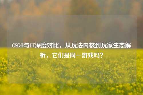 CSGO与CF深度对比，从玩法内核到玩家生态解析，它们是同一游戏吗？