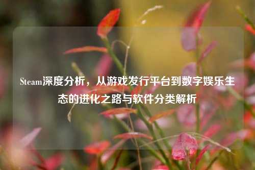 Steam深度分析,从游戏发行平台到数字娱乐生态的进化之路与软件分类解析