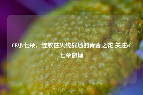 CF小七朵,绽放在火线战场的青春之花 关注cf七朵微博
