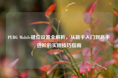 PUBG Mobile键位设置全解析,从新手入门到高手进阶的实用技巧指南