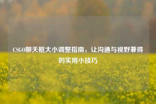 CSGO聊天框大小调整指南,让沟通与视野兼得的实用小技巧