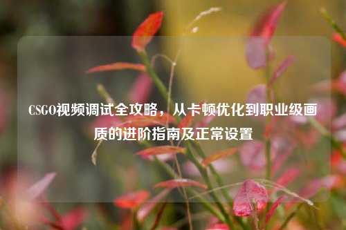 CSGO视频调试全攻略,从卡顿优化到职业级画质的进阶指南及正常设置