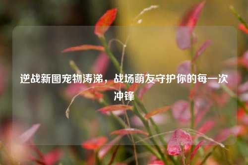逆战新图宠物涛涕,战场萌友守护你的每一次冲锋