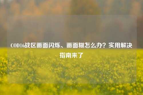 COD16战区画面闪烁、画面糊怎么办?实用解决指南来了