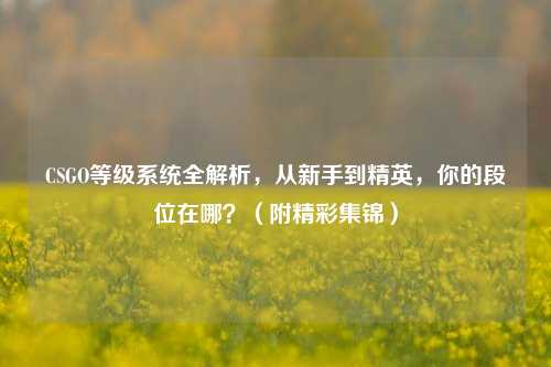 CSGO等级系统全解析,从新手到精英,你的段位在哪?(附精彩集锦)