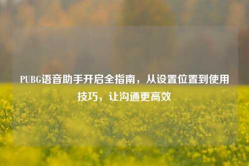 PUBG语音助手开启全指南,从设置位置到使用技巧,让沟通更高效