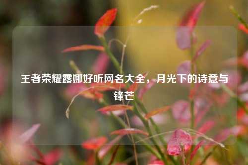 王者荣耀露娜好听网名大全,月光下的诗意与锋芒