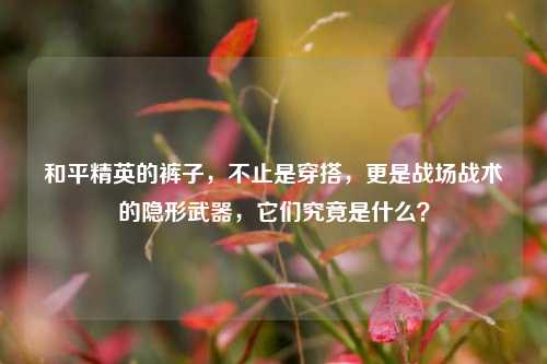 和平精英的裤子,不止是穿搭,更是战场战术的隐形武器,它们究竟是什么?