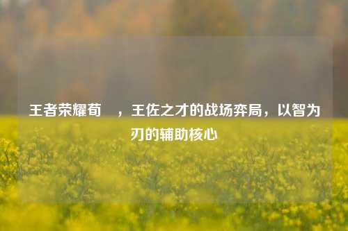 王者荣耀荀彧,王佐之才的战场弈局,以智为刃的辅助核心