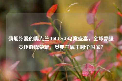 硝烟弥漫的奥克兰IEM CSGO电竞盛宴,全球豪强竞逐巅峰荣耀,奥克兰属于哪个国家?