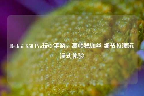 Redmi K50 Pro玩CF手游，高帧稳如丝 细节拉满沉浸式体验