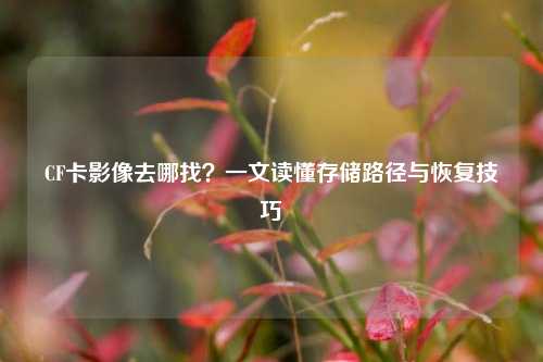 CF卡影像去哪找?一文读懂存储路径与恢复技巧