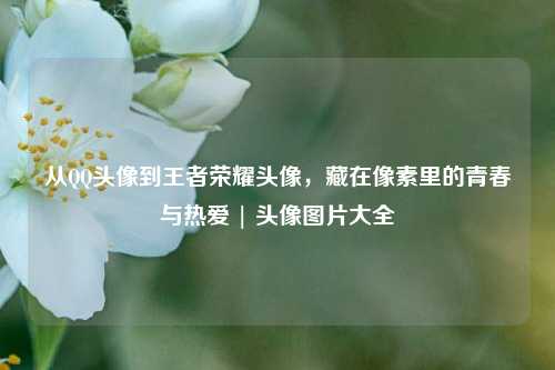 从 *** 头像到王者荣耀头像,藏在像素里的青春与热爱 | 头像图片大全