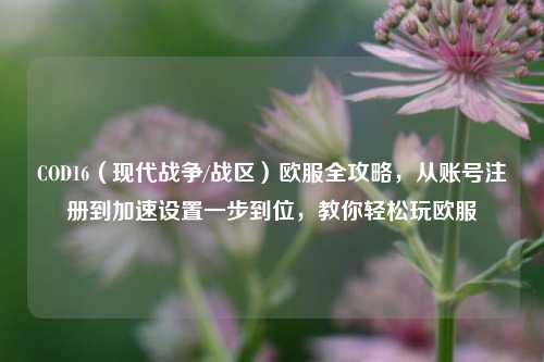 COD16（现代战争/战区）欧服全攻略，从账号注册到加速设置一步到位，教你轻松玩欧服