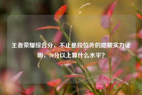 王者荣耀综合分,不止是段位外的隐藏实力证明,70分以上算什么水平?