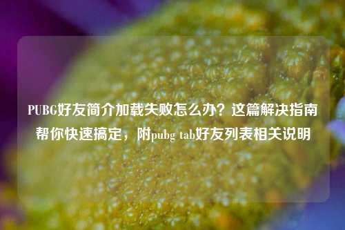 PUBG好友简介加载失败怎么办?这篇解决指南帮你快速搞定,附pubg tab好友列表相关说明