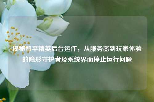 揭秘和平精英后台运作,从服务器到玩家体验的隐形守护者及系统界面停止运行问题