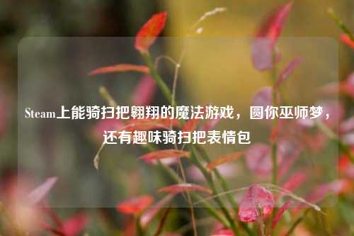 Steam上能骑扫把翱翔的魔法游戏,圆你巫师梦,还有趣味骑扫把表情包