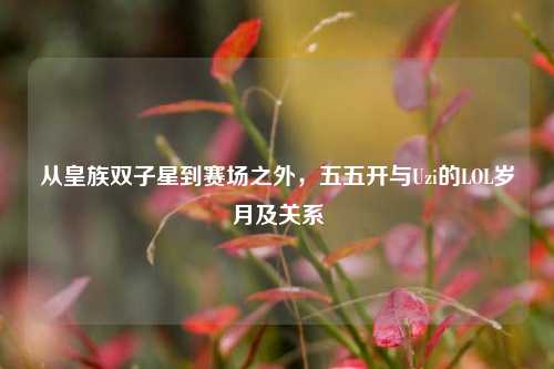 从皇族双子星到赛场之外，五五开与Uzi的LOL岁月及关系