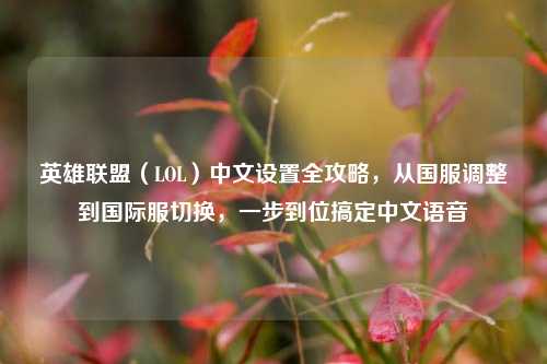 英雄联盟(LOL)中文设置全攻略,从国服调整到国际服切换,一步到位搞定中文语音