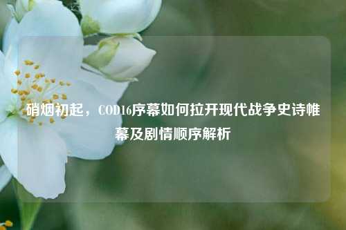 硝烟初起,COD16序幕如何拉开现代战争史诗帷幕及剧情顺序解析