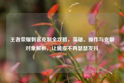 王者荣耀刺客克制全攻略,英雄、操作与克制对象解析,让脆皮不再瑟瑟发抖