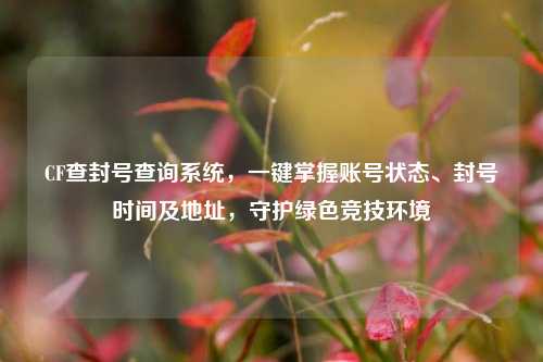 CF查封号查询系统,一键掌握账号状态、封号时间及地址,守护绿色竞技环境
