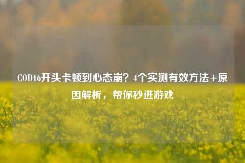 COD16开头卡顿到心态崩？4个实测有效 *** +原因解析，帮你秒进游戏