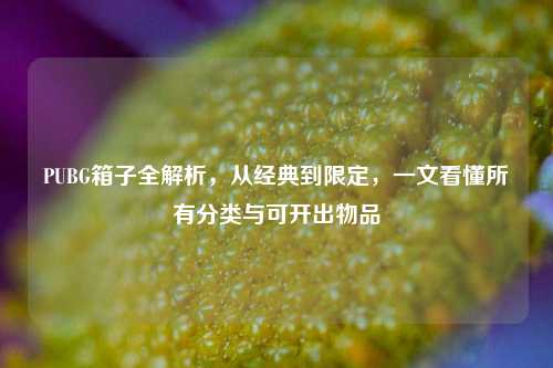 PUBG箱子全解析，从经典到限定，一文看懂所有分类与可开出物品