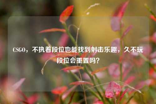 CSGO,不执着段位也能找到射击乐趣,久不玩段位会重置吗?