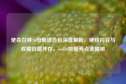 使命召唤16母舰组合包深度解析,硬核内容与收藏价值并存,cod16炮艇亮点全揭秘